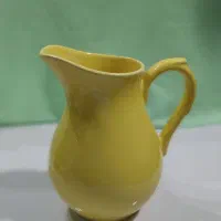 ماگ و گل های آپارتمانی