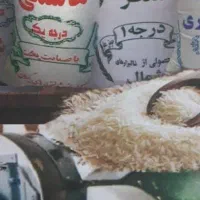 برنج ایرانی درجه یک به‌شرط پخت برند باباپور