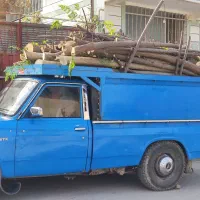 خرید چوب باغی و ساختمانی|خدمات باغبانی و درختکاری|گرگان, |دیوار