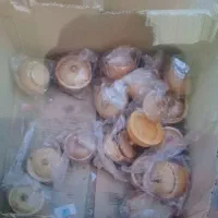 فروش صنایع دستی شما انواع تولیدات در بازار تهرا|صنایع دستی و سایر لوازم تزئینی|اسفراین, |دیوار