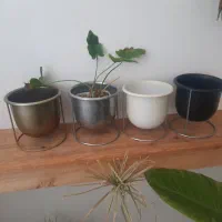 کاور گلدان و گل