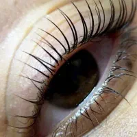 لیفت ولمینت مژه و ابرو فق۲۵۰ حناابرو۱۰۰|خدمات آموزشی|دورود, |دیوار