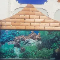 آکواریوم همراه با وسایل