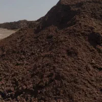 کود گاوی سوخته درجه 1