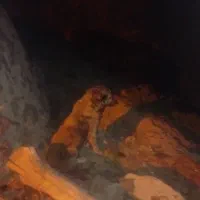 سگ‌‌گله