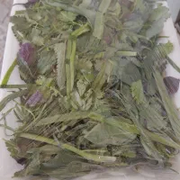 سبزی خوردن
