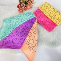 دستمال نانو 60گرم