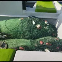 فروش تور زیرابی وینچ وتشت