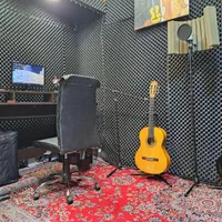 آموزش گیتار،تار،ستار تضمینی و همراهی آواز با گیتار