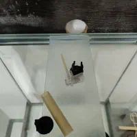 آکواریوم شیشه ۸میل|ماهی|تهران, پرستار|دیوار