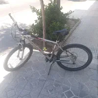 دوچرخه ویوا کینگ ۲۶ (با فاکتور و سند فروشگاه)