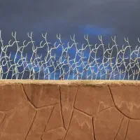 حفاظ شاخ‌گوزنی مدل خاری/ خرید مستقیم از تولیدی|مصالح و تجهیزات ساختمان|اصفهان, ملک‌شهر|دیوار