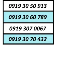 0919.312.0085|سیم‌کارت|رباط‌کریم, رباط‌کریم|دیوار