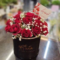 ۲۰شاخه گل رز هلندی|گل و گیاه طبیعی|مشهد, دانشجو|دیوار