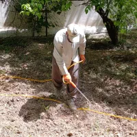 سمپاشی تیلر علفتراش پاکنی گل درخت اره برقی هرس کود|خدمات باغبانی و درختکاری|شیراز, قصرالدشت|دیوار