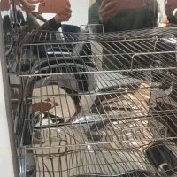 دستگاه استرالیزاتور خشک|پزشکی|محمدشهر, محمدشهر|دیوار