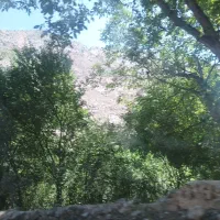 تور یک روزه کنگ