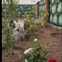 باغچه 182متری چار دیواری در مجموعه|فروش زمین و ملک کلنگی|شهریار, اصیل آباد|دیوار