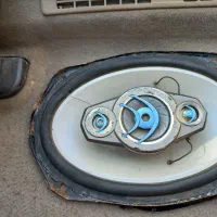 باند پایونر ۶۹۸۵