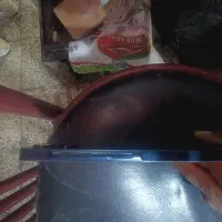 گوشی a06|موبایل|سلامی, |دیوار