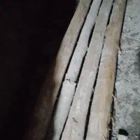 چوب سفید دال