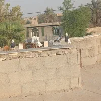 کبوتر