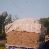 باگاس|خوردنی و آشامیدنی|مسجد سلیمان, |دیوار