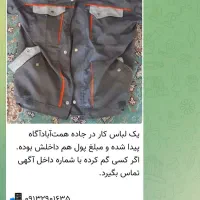 پیدا شده