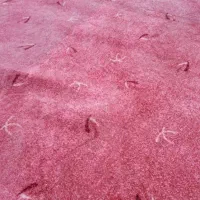 موکت 12 مترپالاز