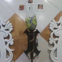 لوستر  دیوار کوب
