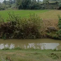 فروش مغازه ۵۰متر دونبش