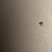 نیازمند تراکت پخش کن در محل