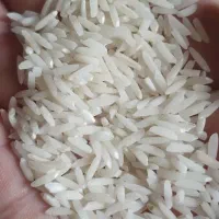 فروش برنج طارم هاشمی