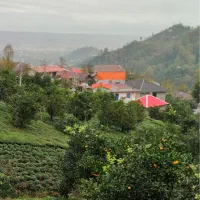 فروش باغ ۲۷۲ متری گنج نامه کوچه گرده پزی