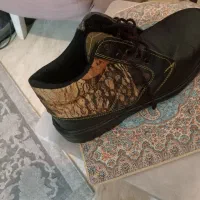 کفشهای ایمنی. کار کاملا. نو