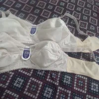 لباس زیر|لباس|قم, دانشگاه قم|دیوار