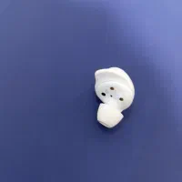 گوش راست بادز FE