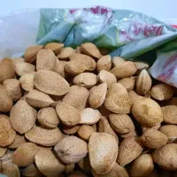 فروش بادام سنگی