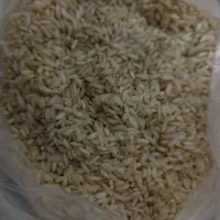 برنج ایرانی|خوردنی و آشامیدنی|هرسین, |دیوار