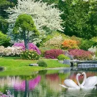 فیلمبرداری مجالس