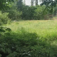 زمین مسکونی|فروش زمین و ملک کلنگی|توتکابن, |دیوار