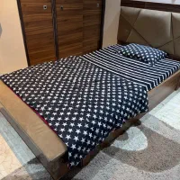تخت خواب به همراه خوشخواب در حد نو
