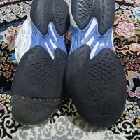 کتونی والیبال|کیف، کفش، کمربند|لشت نشا, |دیوار