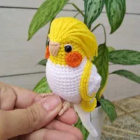 طوطی کوتوله بافتنی|کلکسیون و سرگرمی|نیشابور, هفده شهریور|دیوار