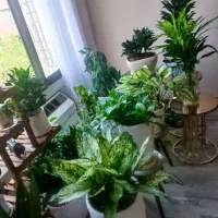 100 متر / 2 خواب/ فول امکانات