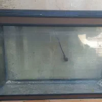 اکواریوم شرکتی