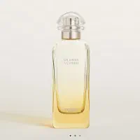 شیشه عطر ارجینال برند Hermes