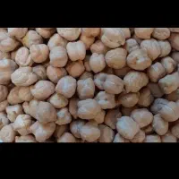 نخود درجه یک گریت