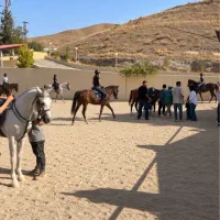 اموزش سوارکاری
