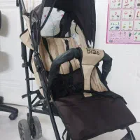 کالسکه عصایی